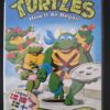 Turtles - How it all began